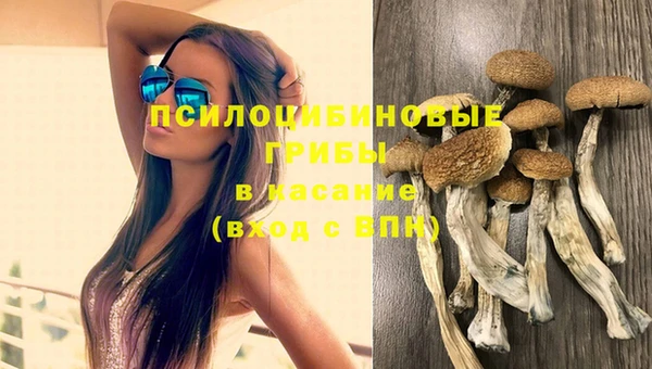 дурь Новодвинск