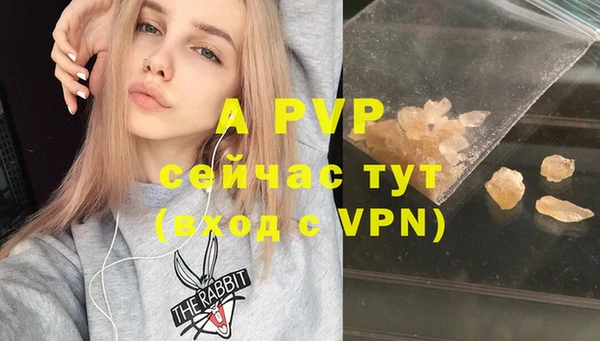 дурь Новодвинск